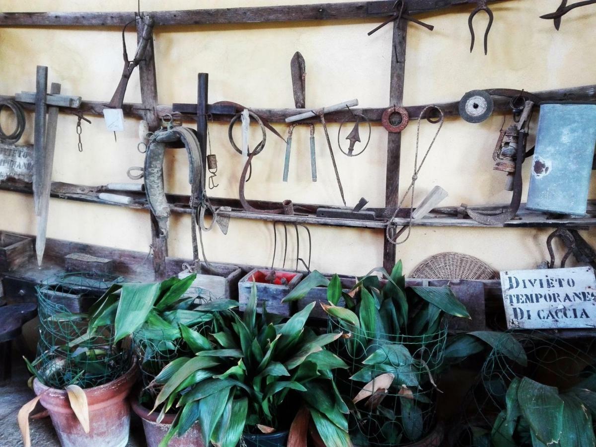 Casarossa Villa Rivergaro Ngoại thất bức ảnh